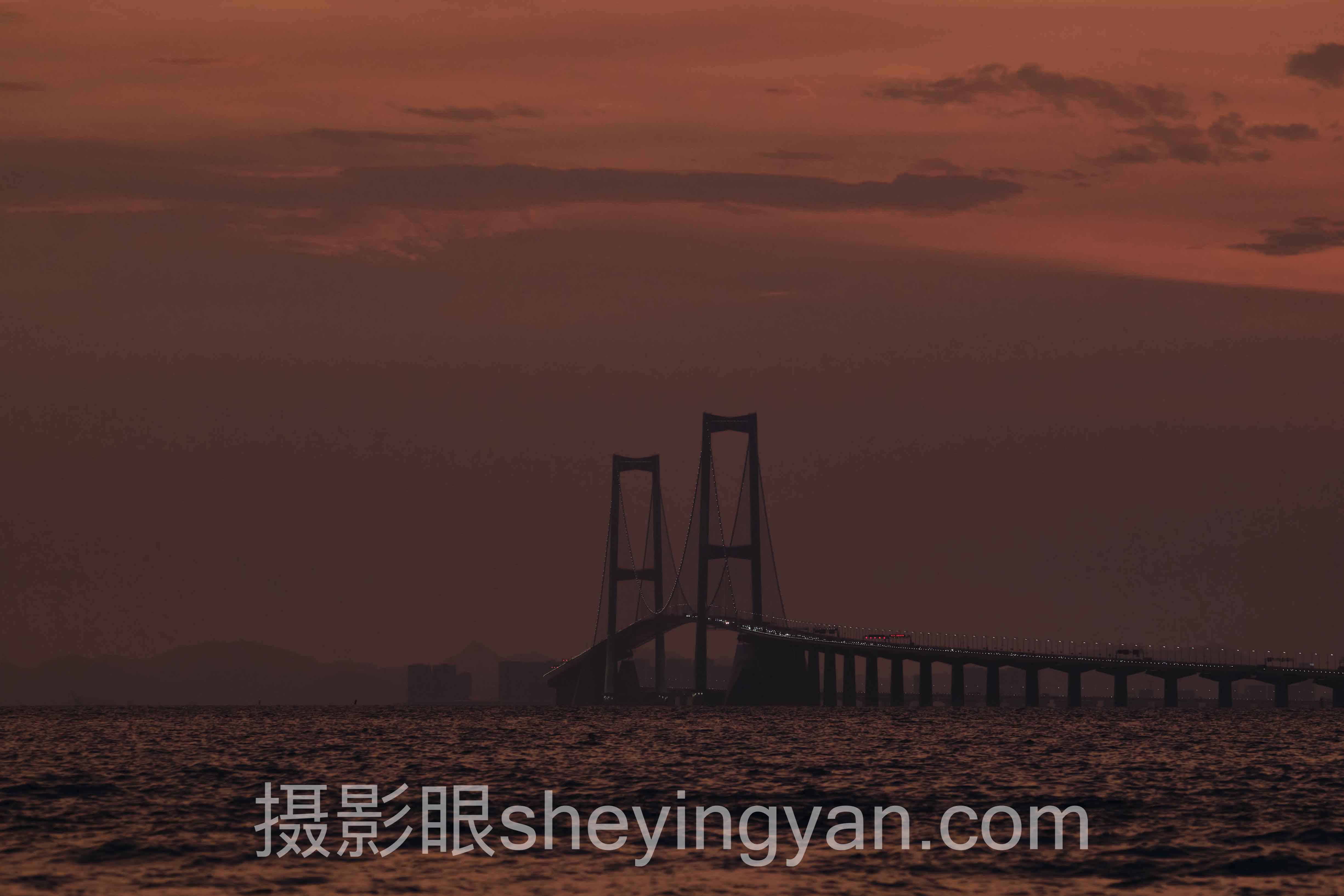 被说随手拍如何系统学摄影深度评测：5种学习路径全面解析