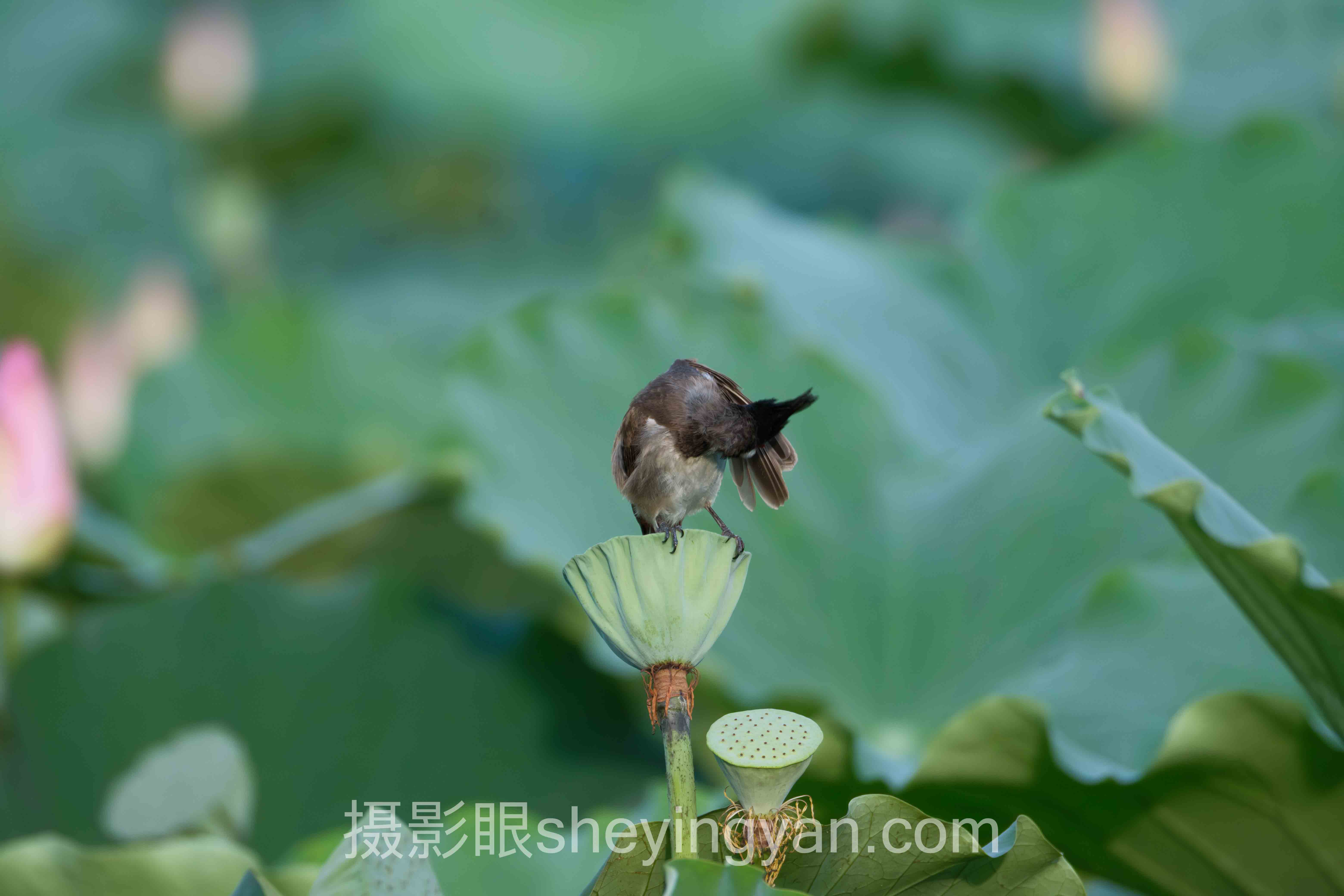 个人摄影风格培养：拍了48732张照片后，我总结了7条反常识的实操清单