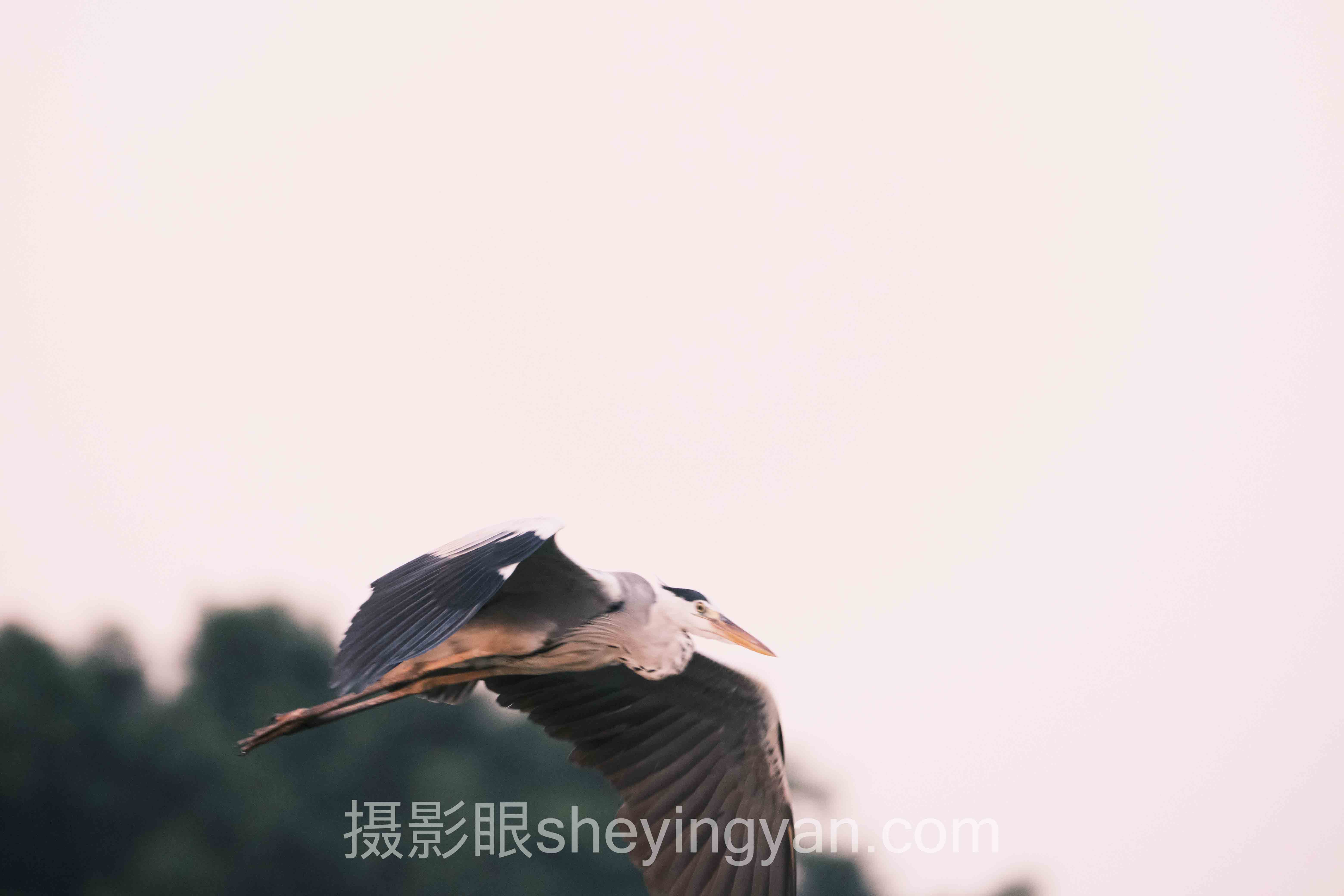 选照片改进方案不踩坑:5条路径多维度对比指南