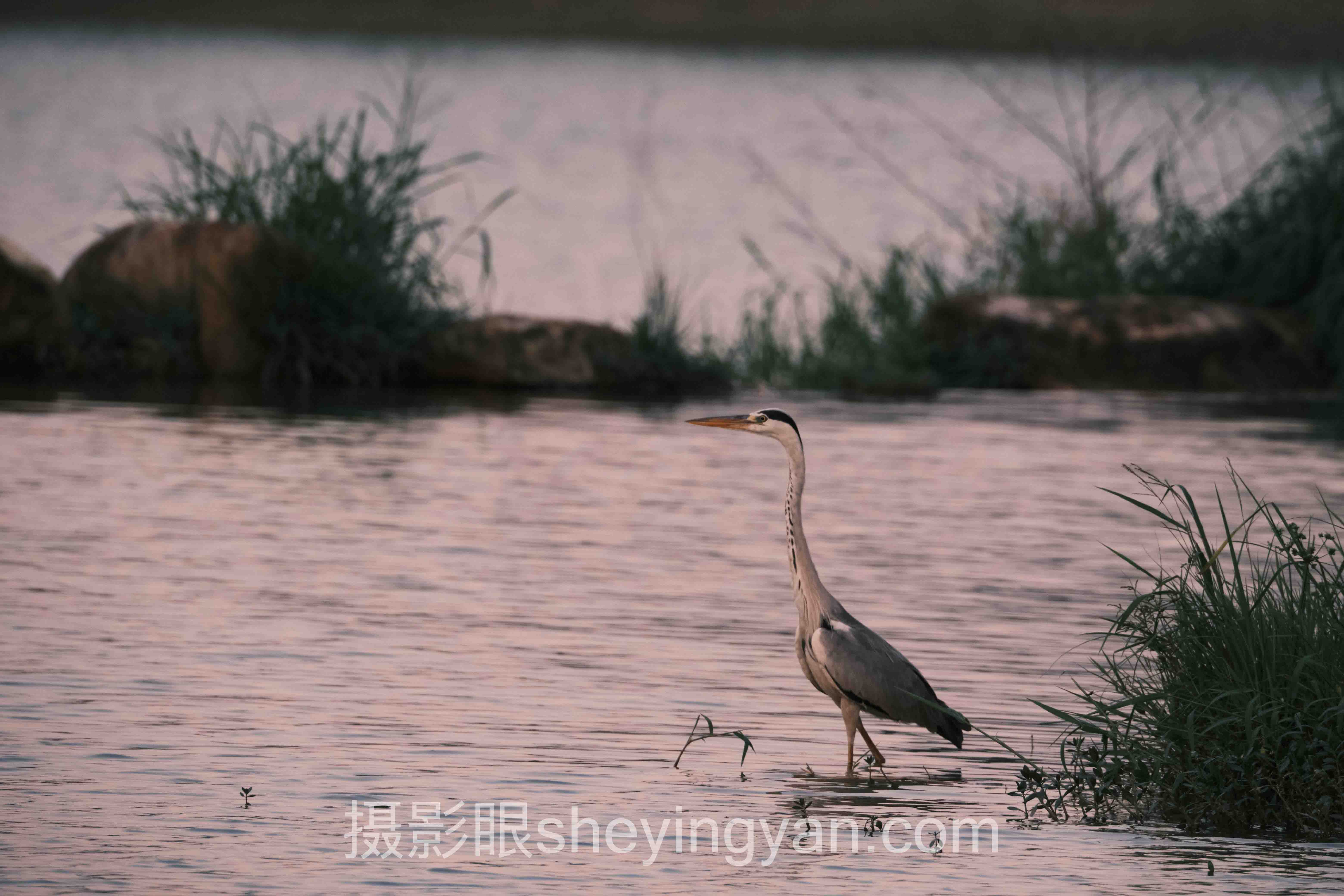 摄影眼sheyingyan.com