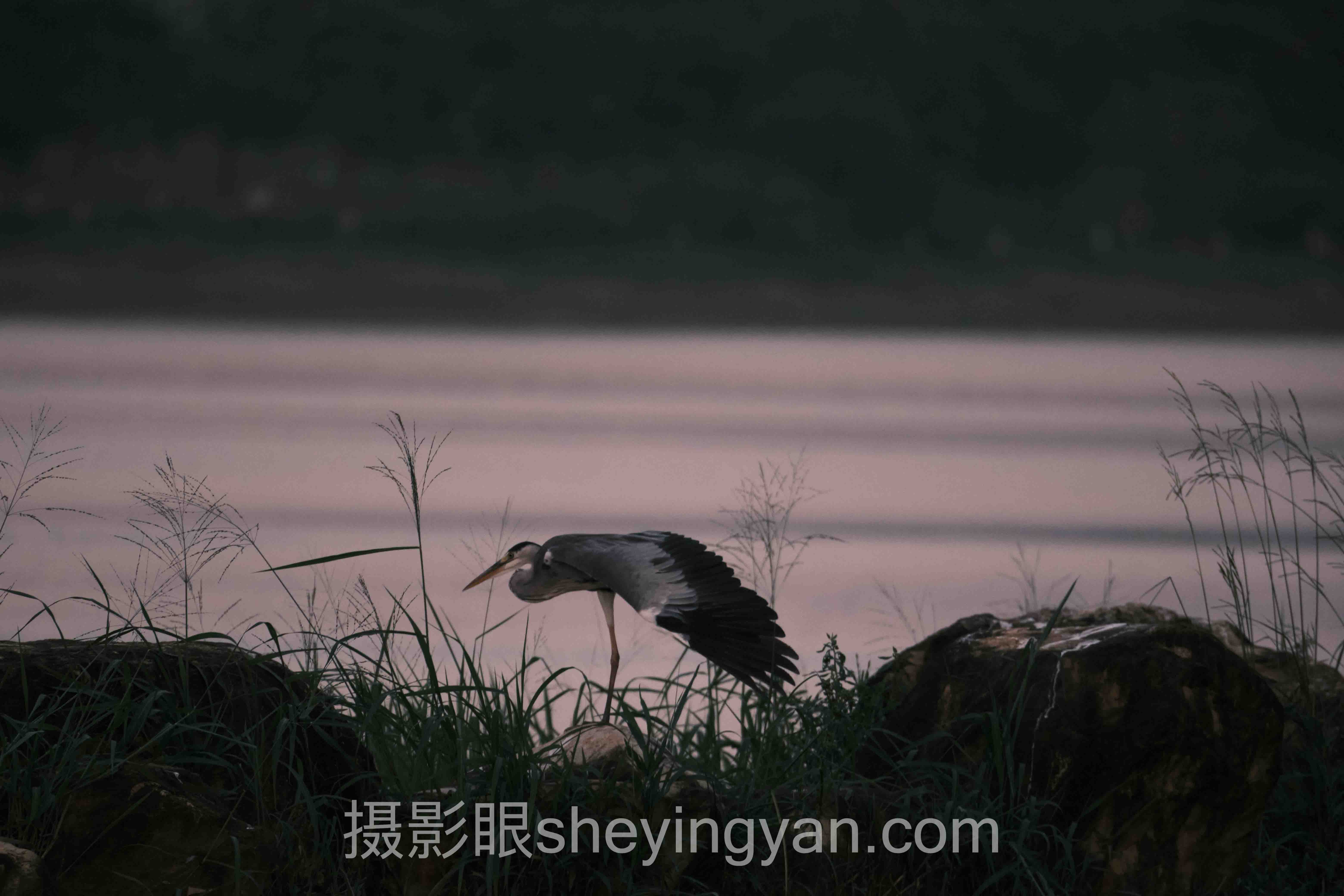 导师评片工作台