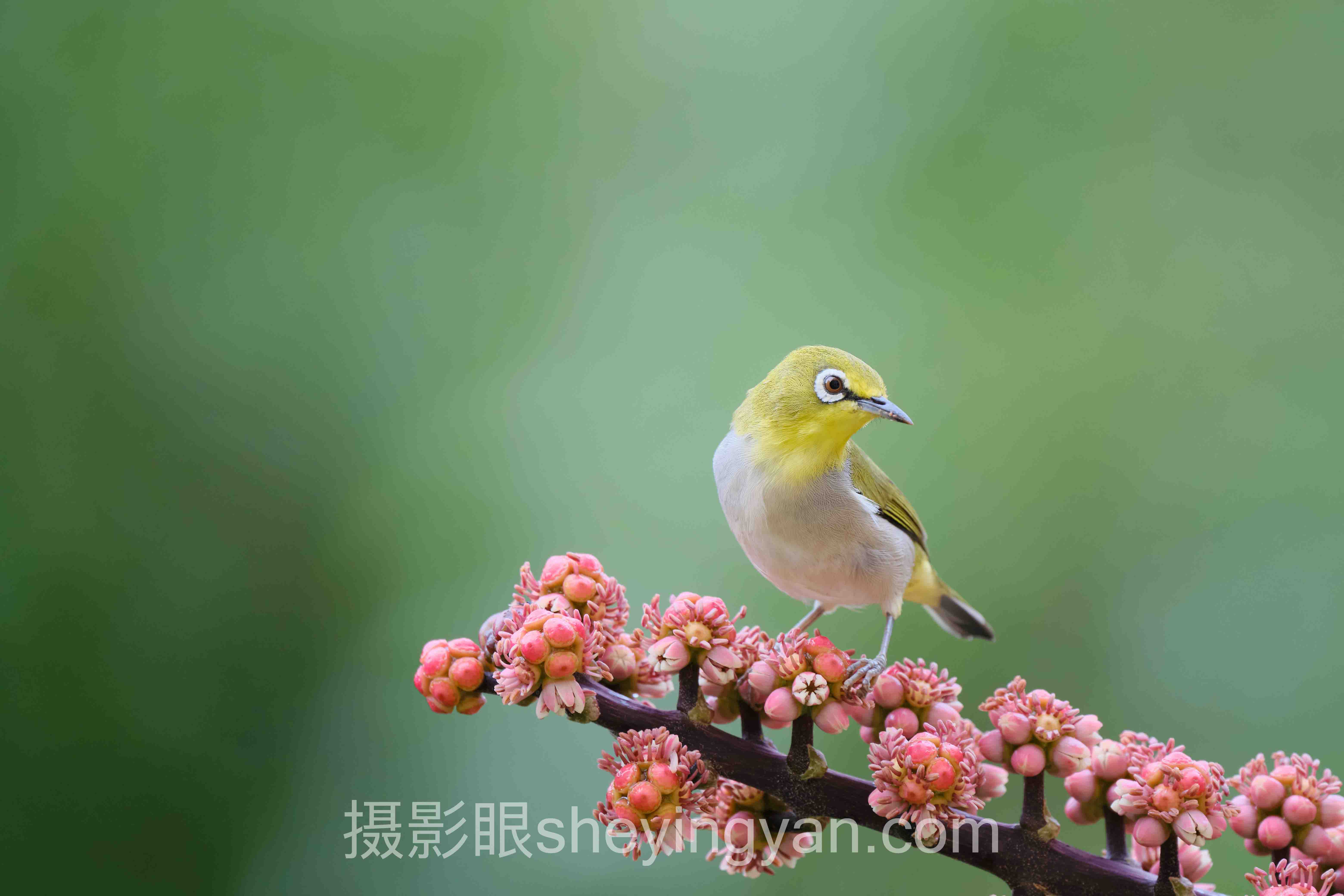 光影进阶实战