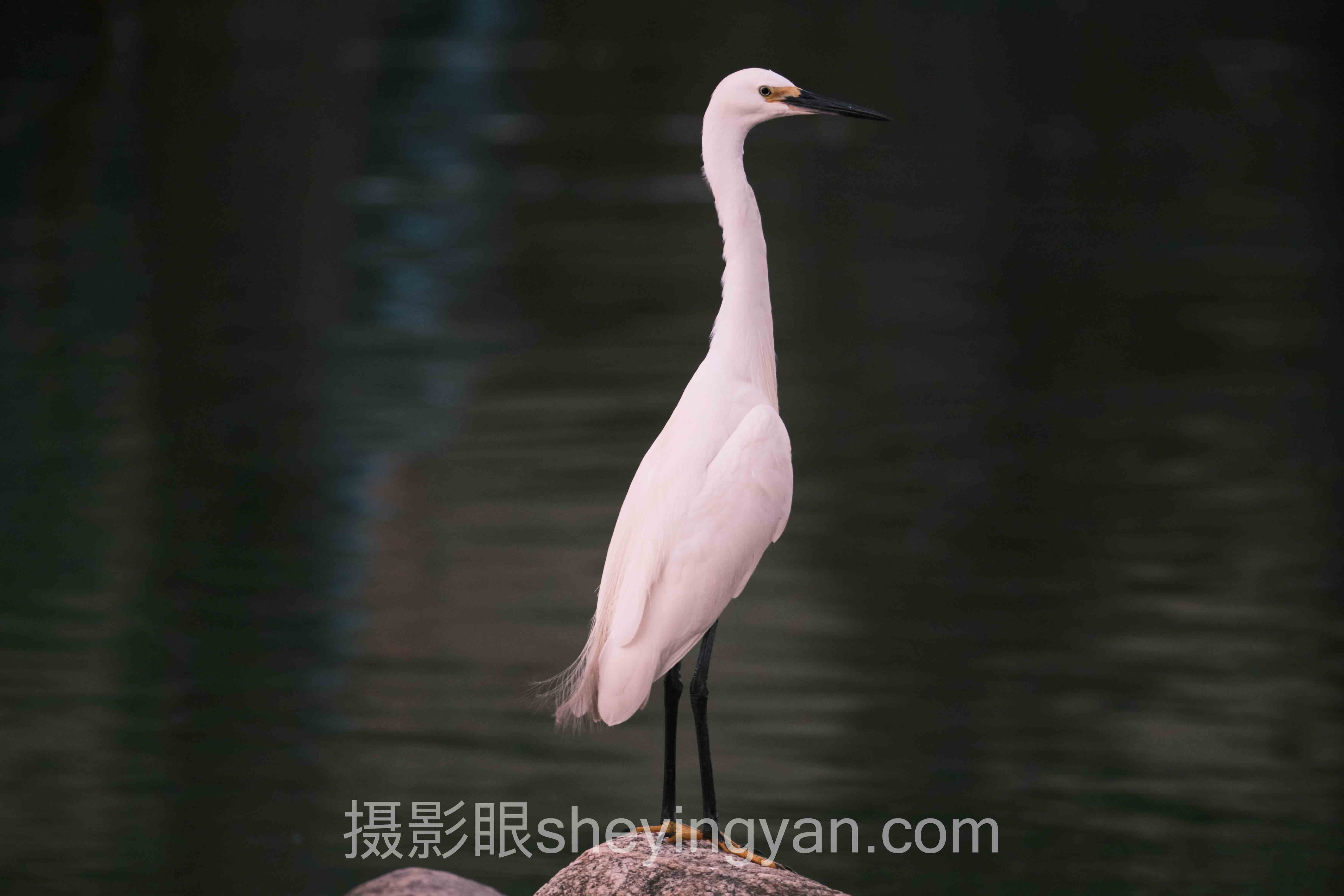 星空曝光设置入门：从胶片时代的极限试探到数字时代的精准掌控