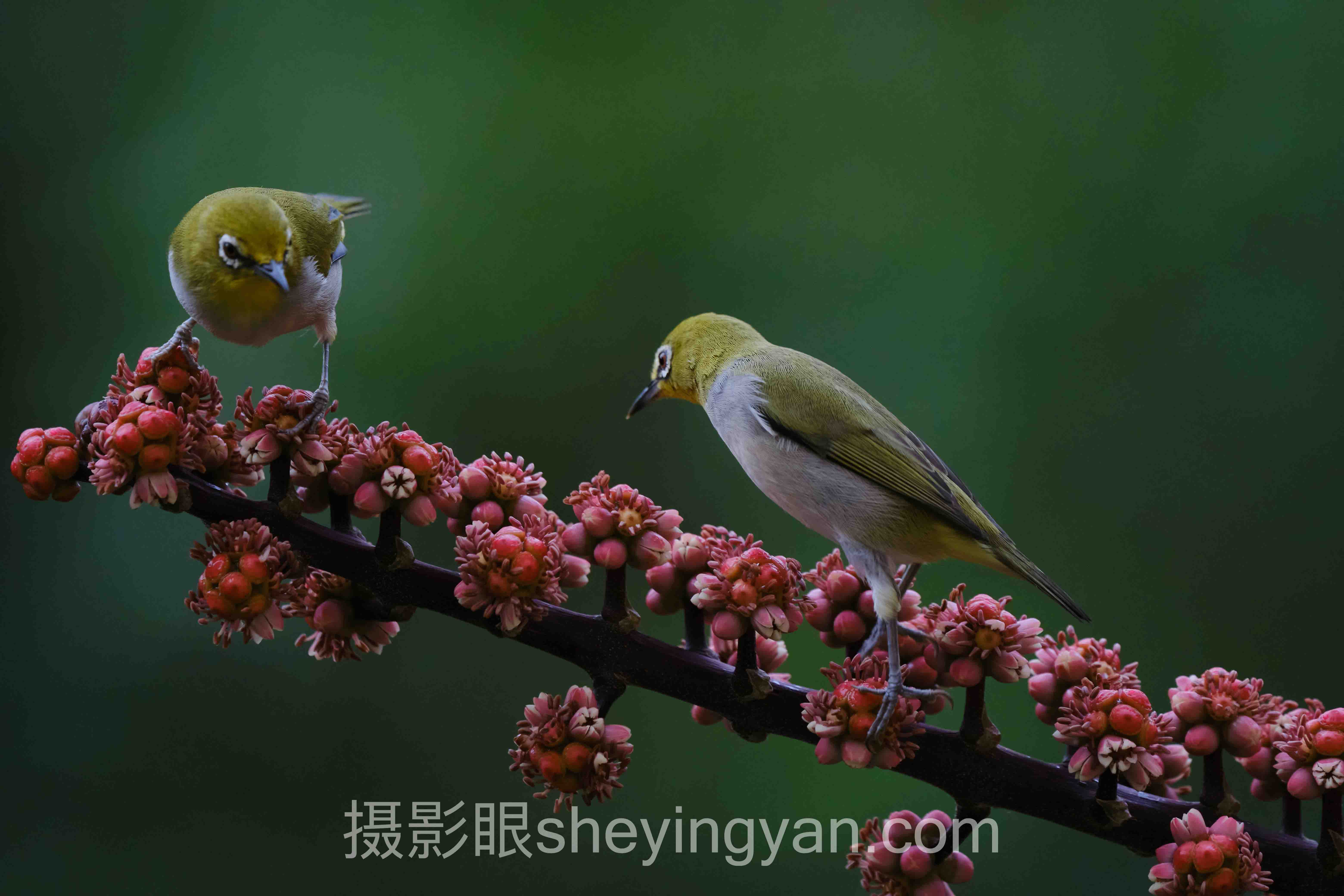 对称构图拍倒影技巧：4个场景破解完美镜像的误区