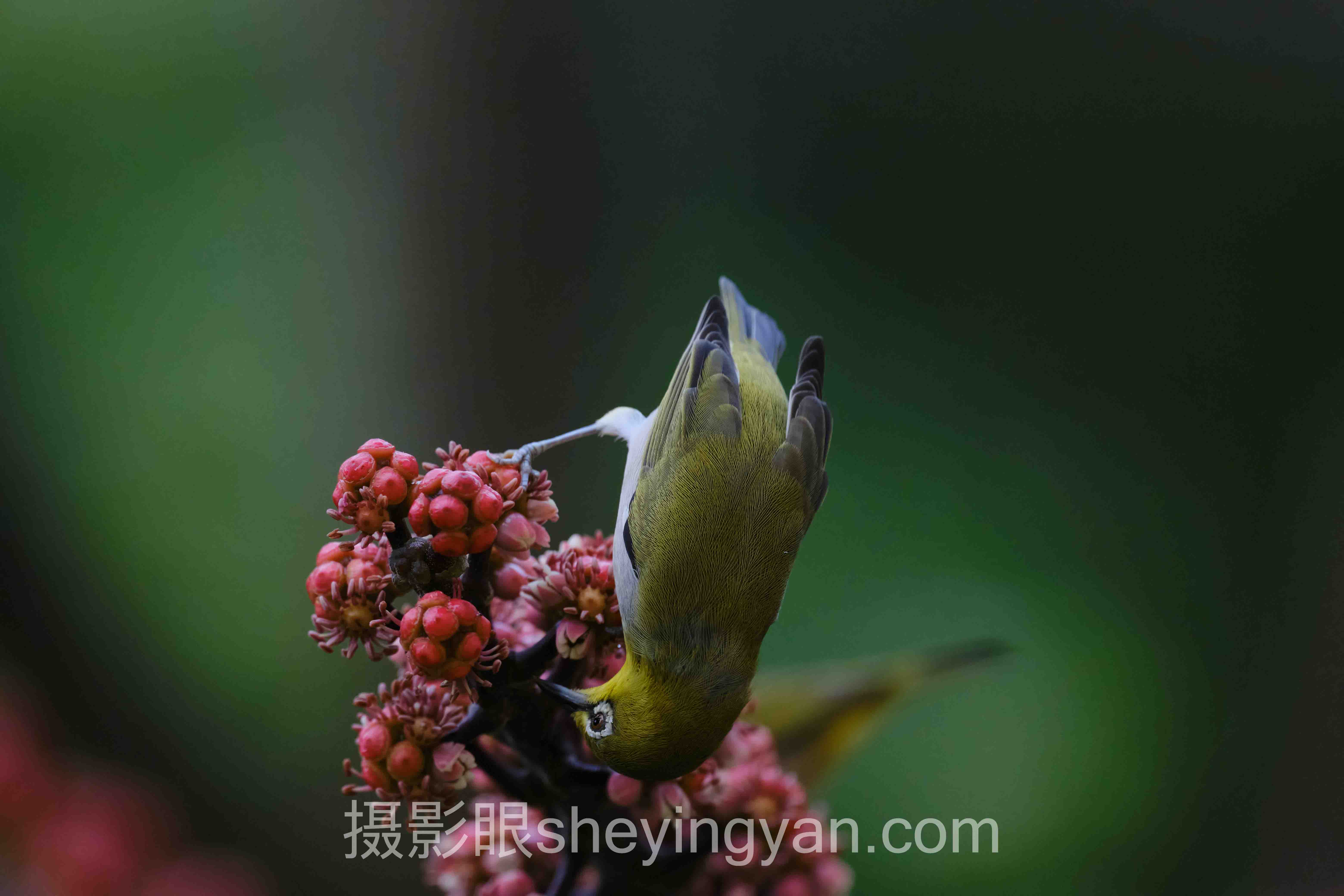 好的光线有什么特点：从棚拍惨案到神级出片的3个落地案例