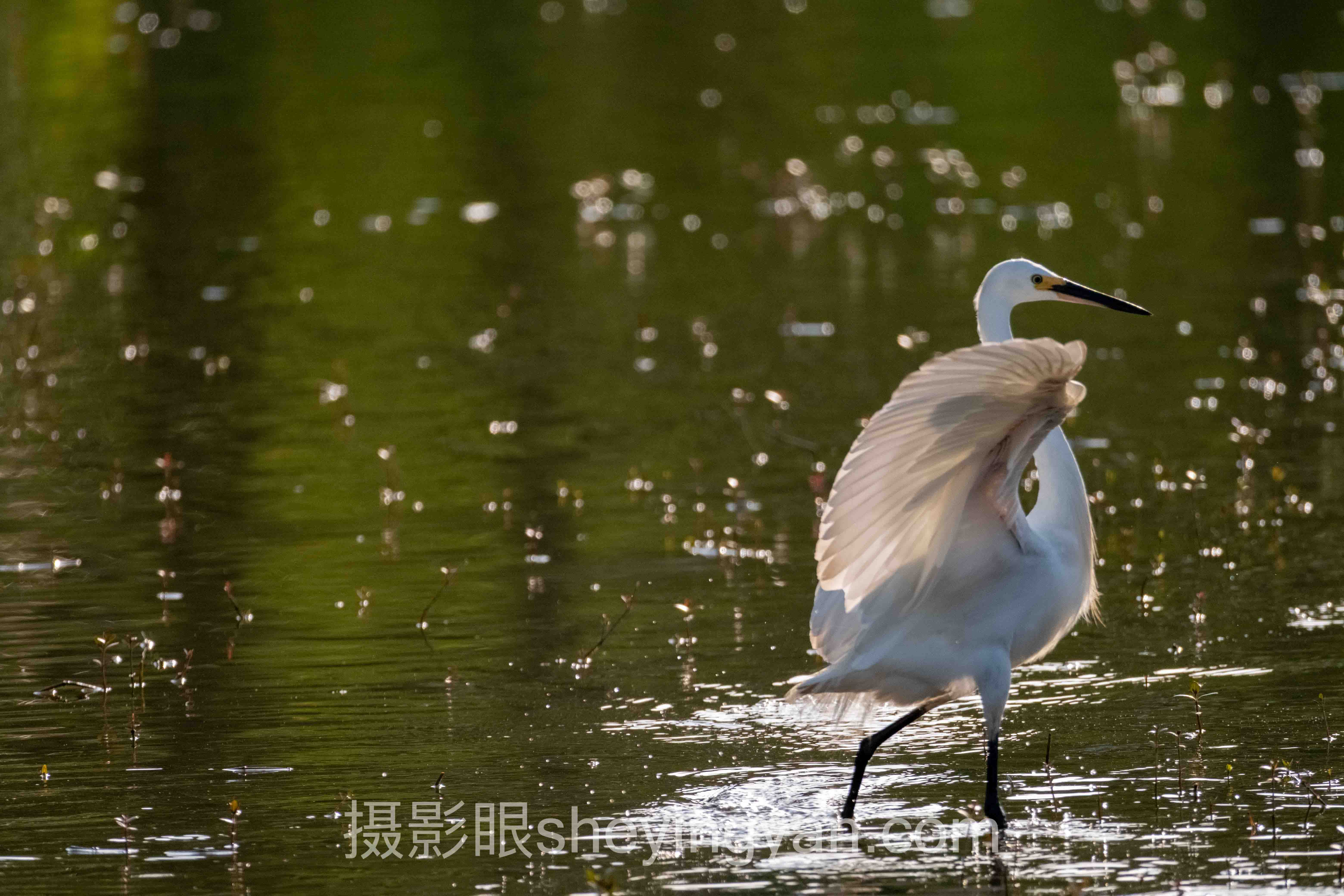 摄影眼训练实拍练习场景