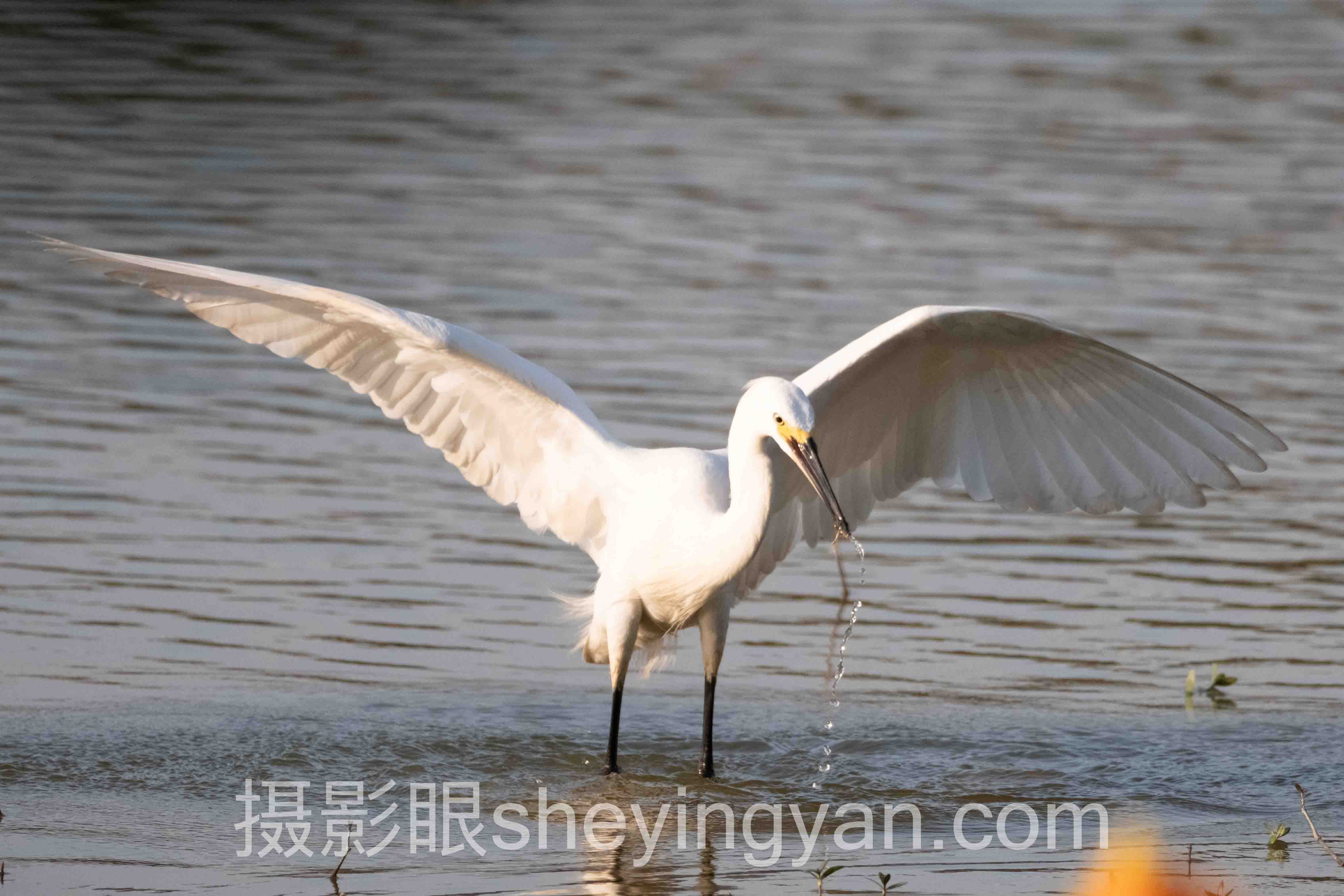 沙漠光线怎么拍入门:从零掌握光影塑造核心要点